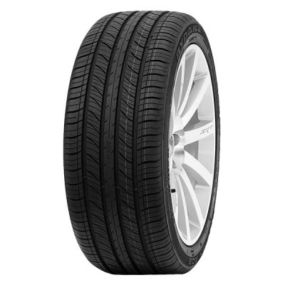 Rydanz Raleigh R06